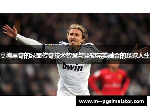 莫德里奇的绿茵传奇技术智慧与坚韧完美融合的足球人生