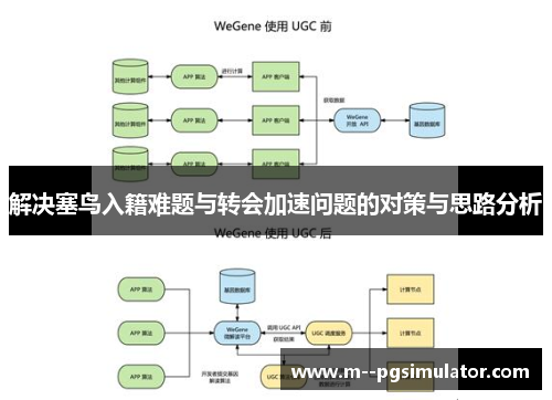 解决塞鸟入籍难题与转会加速问题的对策与思路分析
