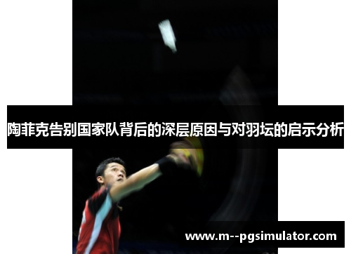 陶菲克告别国家队背后的深层原因与对羽坛的启示分析
